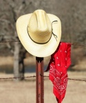 Chapeau de cowboy sur clôture