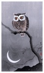 Owl moon art vintage