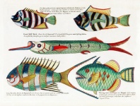 Fish art vintage na Indonésia