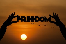 Frihet