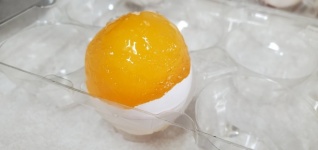 Uovo Congelato
