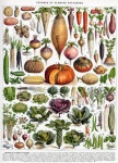Art vintage de salades de légumes