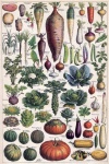 Arte vintage de saladas de vegetais