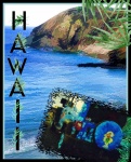 Plakat podróżniczy Hawaje