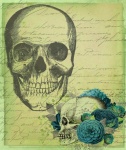 Vintage skulls illustration