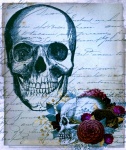 Vintage skulls illustration