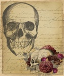 Vintage Skulls Illustration