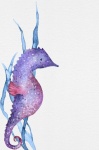 Seahorse Note Paper