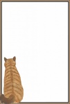 Katt anteckningsbok