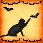 Black Cat And Bats