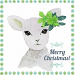 Christmas Baby Lamb