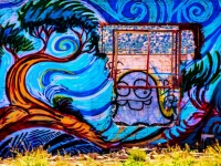 Arizona Graffiti