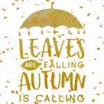 Autumn Square Poster