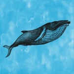 Ilustración de ballena vintage