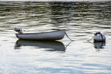 Barca a remi nel lago
