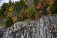 Autumn trees on a cliff