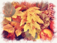 Ilustración de otoño