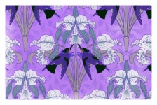 Iris flor arte vintage
