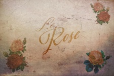 Le Rose Hintergrund