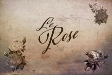 Le Rose Hintergrund