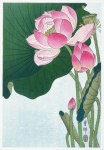 Lotus bloesem kunst vintage