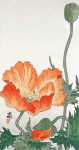 Arte del fiore del papavero vintage