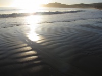 ニュージーランドのビーチでのモーニングウォーク