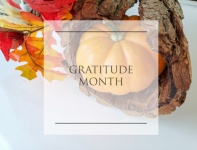 November Dankbaarheid Maand