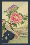 Bujorul, arta japoneză a fazanului