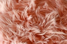 Pink fluffy animal fur
