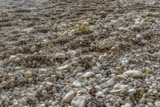Shiny Wet Pebbles on Ocean