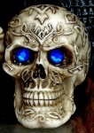 Skull With Blue Eyes