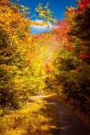 Sentier du sentier à l'automne