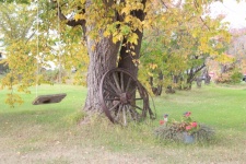 Tree Swing Wagon Wheel