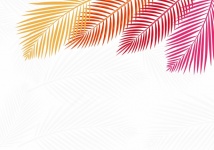 Tropischer Palmblatt-Hintergrund