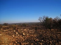 Vista sobre a savana sul-africana queima