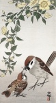 Uccello sole arte vintage