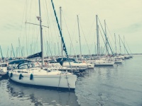 Yachts in marina