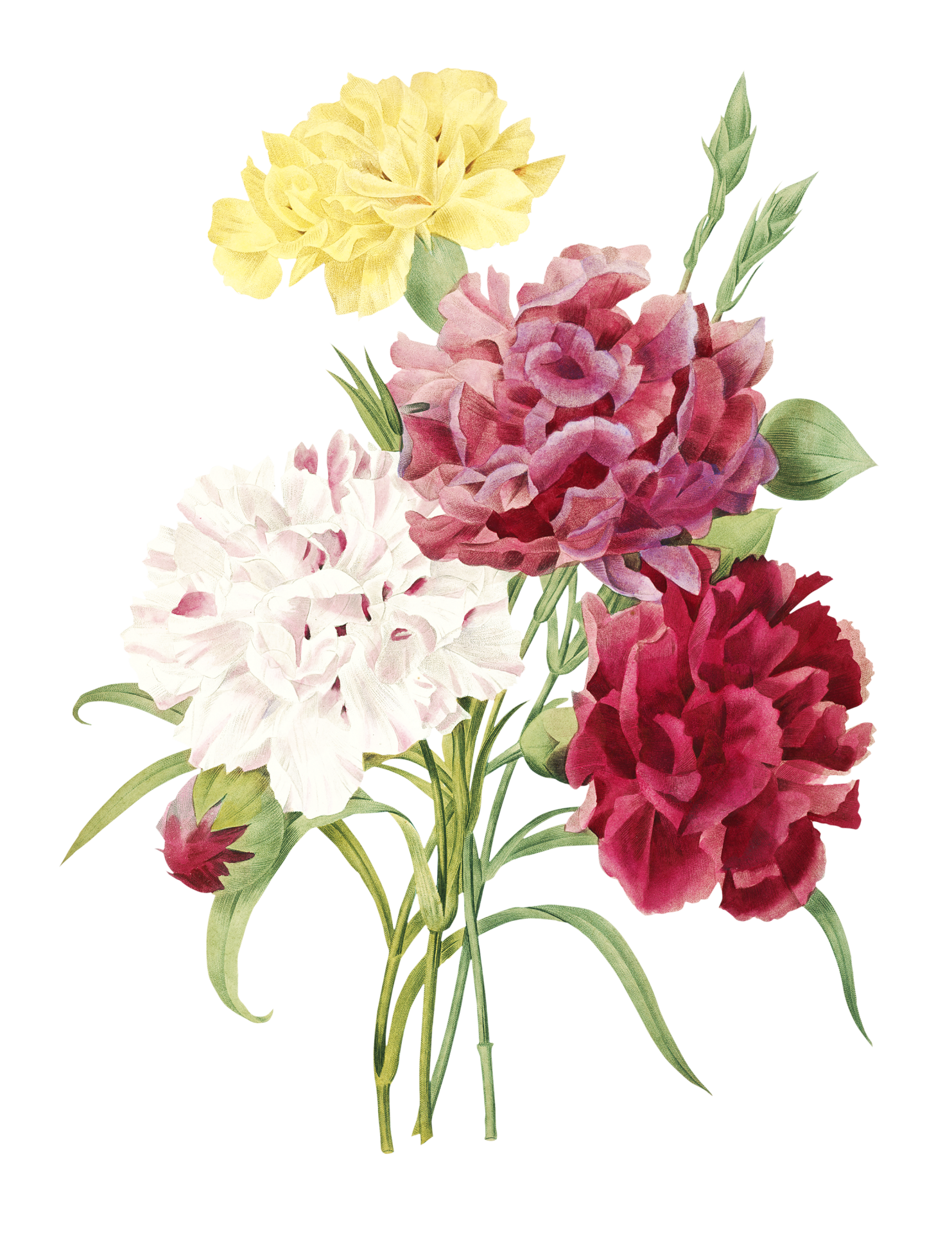 Bouquet Of Vintage Art Painted Flowers Free Stock Photo - Public Domain ...