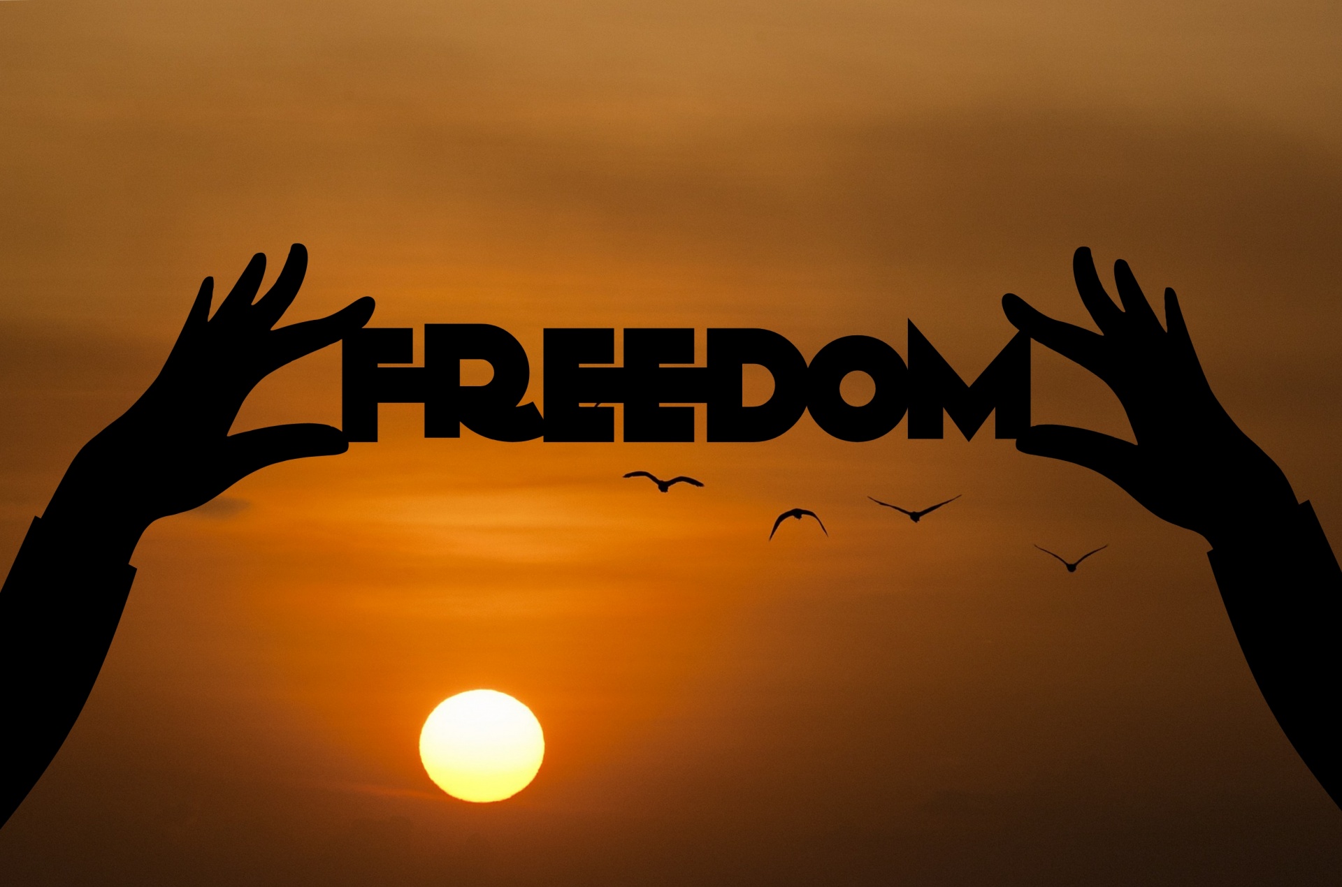 Freedom Free Stock Photo - Public Domain Pictures