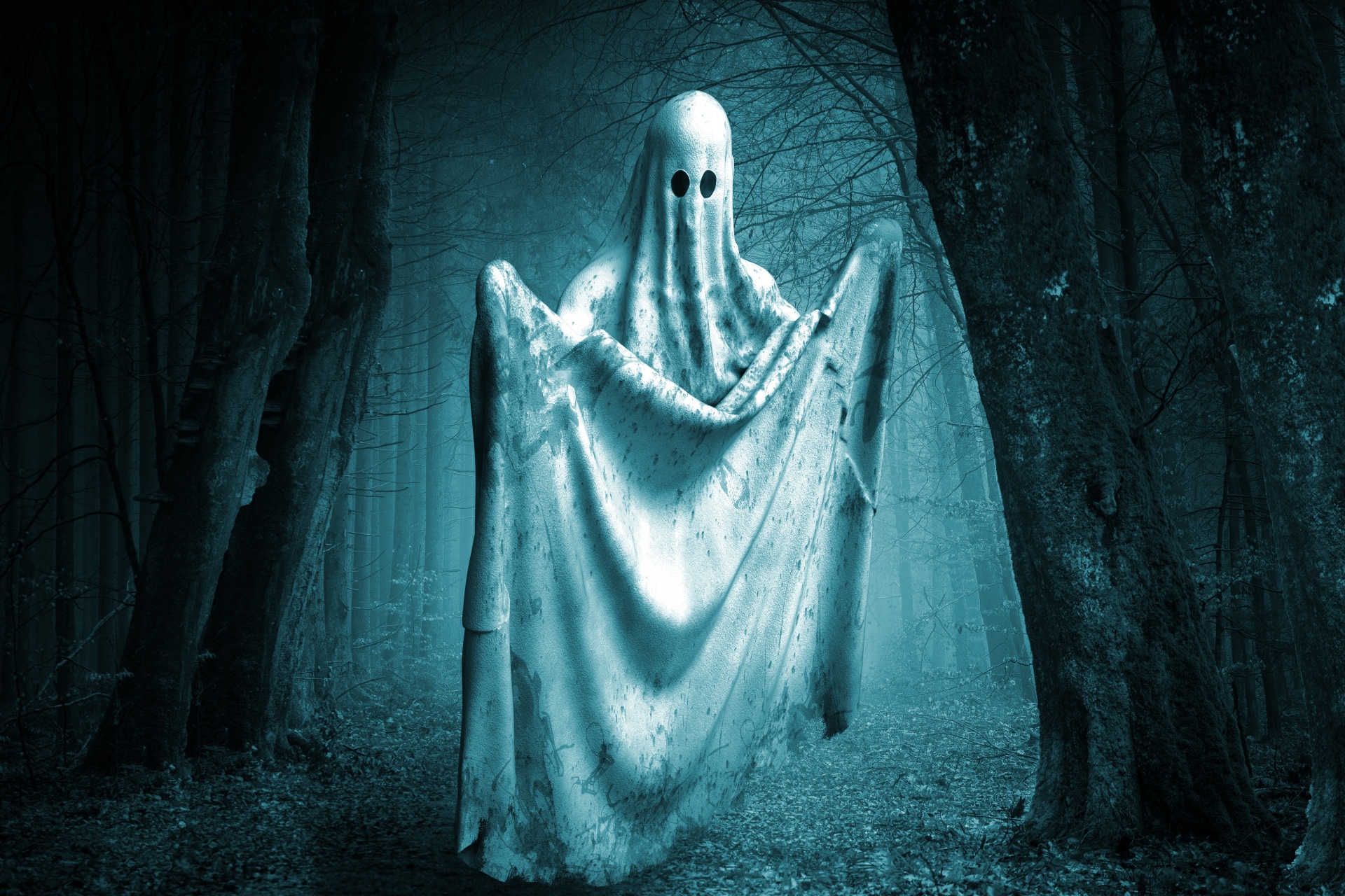 photo of ghost image