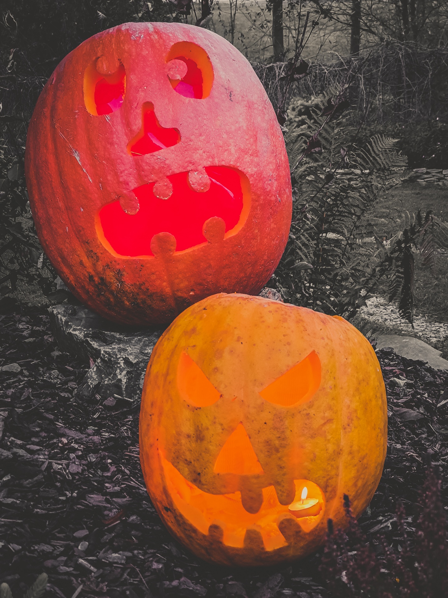 Halloween Kürbisse Kostenloses Stock Bild - Public Domain Pictures