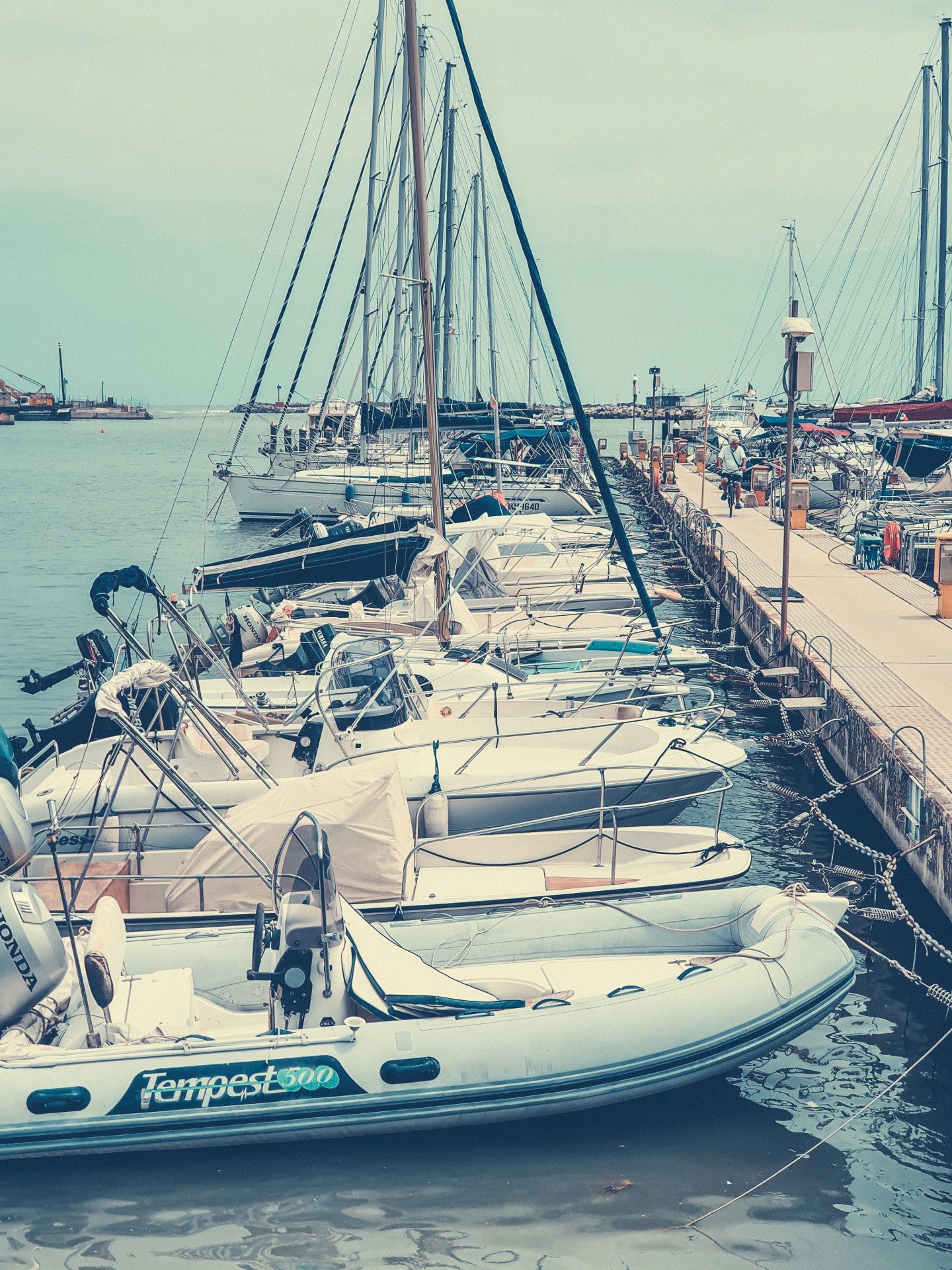 yachts in marina free stock photo - public domain pictures