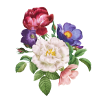 花の花ヴィンテージアート