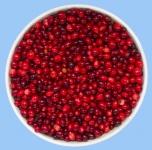 Bucket of Cranberries