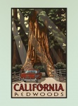 Kalifornie Redwoods Travel Vintage
