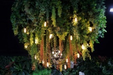 Chandelier covered in green plants