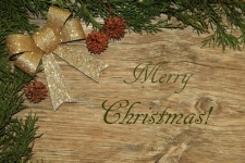 Christmas Bow and Cedar Background