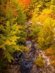 Ruisseau à l'automne