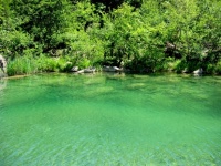 Piscina Crystal Clear Green River